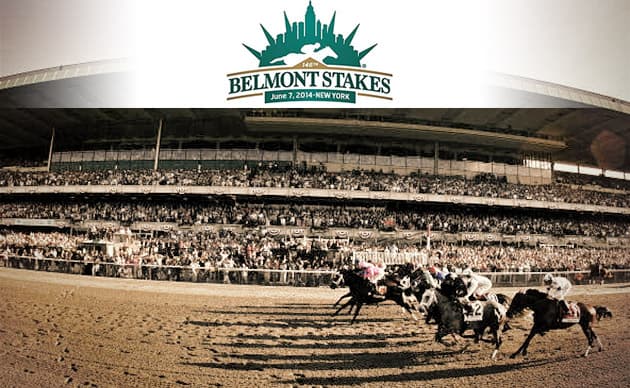 California Chrome: The Race Horse That Was Almost An Airplane article image