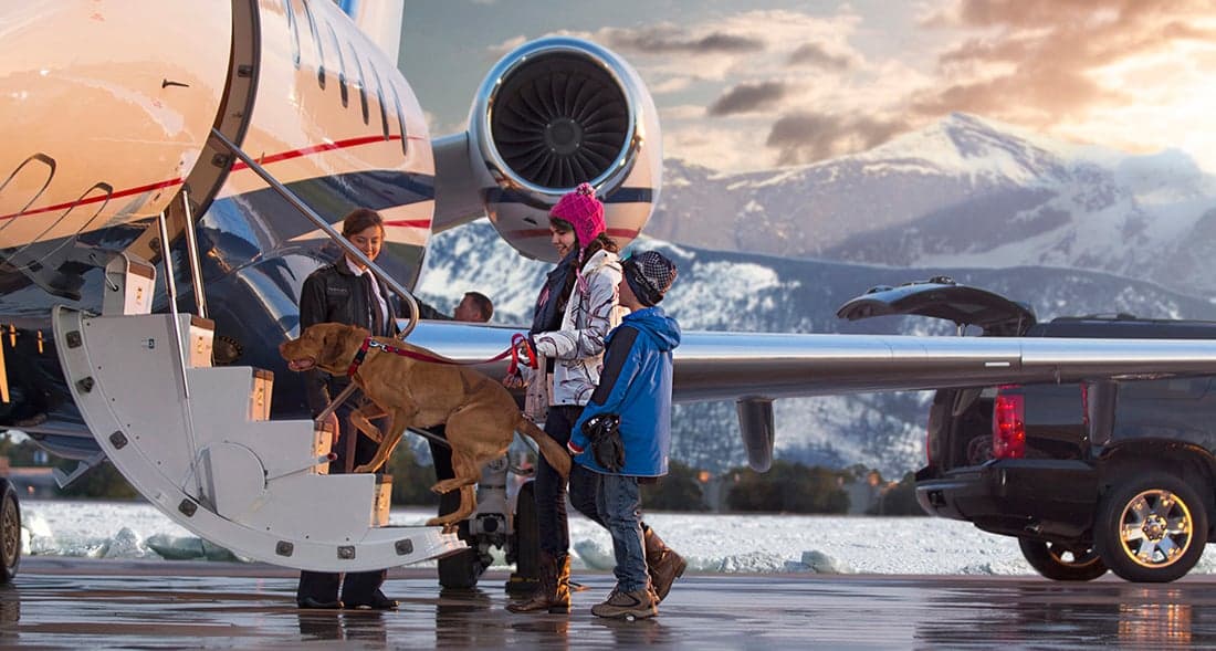 Reasons to Charter A Private Jet in 2015 article image