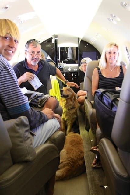 Travelers and dogs seated in an aircraft cabin